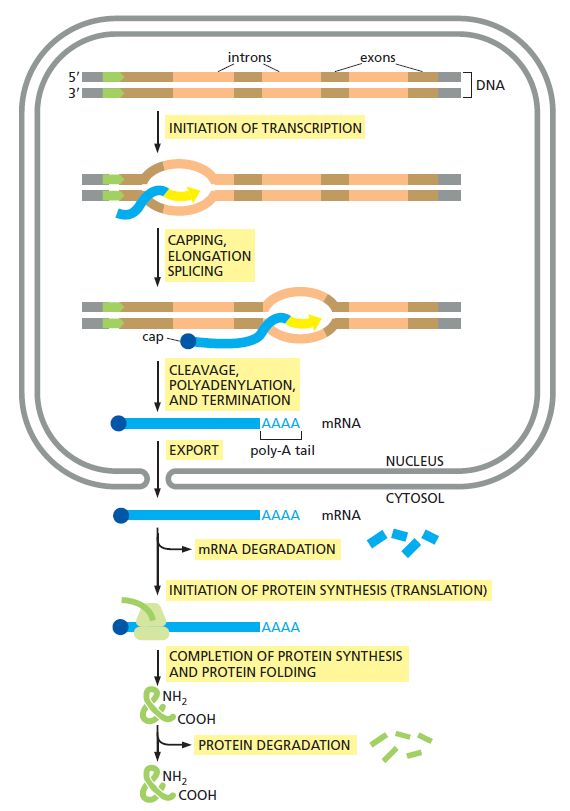 Figure 6-87.png